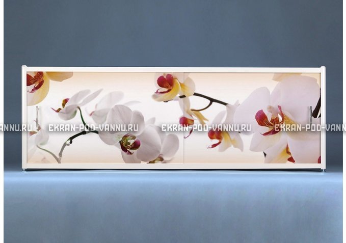 Раздвижной ФОТО экран - Orchid – купить по цене 8500 руб. в интернет-магазине в городе Ижевск картинка 1