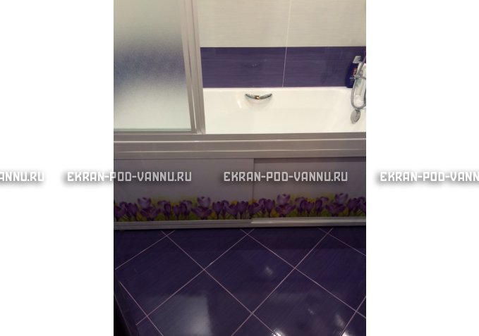 Экран на роликах EUROPLEX  Ирисы – купить по цене 12400 руб. в интернет-магазине в городе Ижевск картинка 4