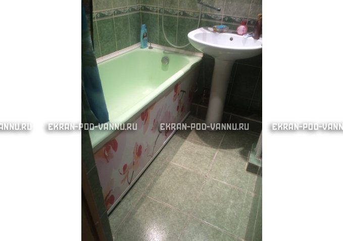 Раздвижной ФОТО экран - Orchid – купить по цене 8500 руб. в интернет-магазине в городе Ижевск картинка 6