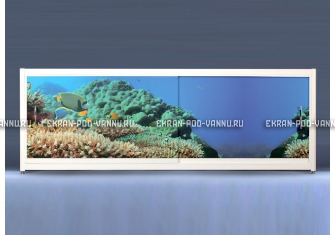Экран на роликах EUROPLEX Коралловые рифы – купить по цене 12400 руб. в интернет-магазине в городе Ижевск картинка 1